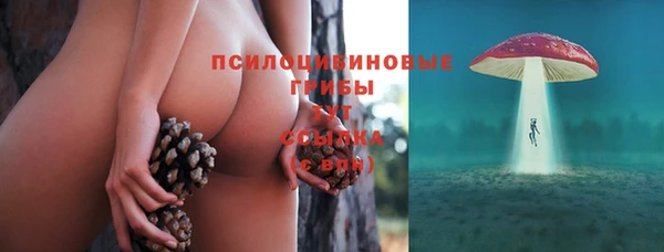спиды Алексеевка