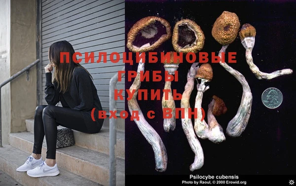 спиды Алексеевка