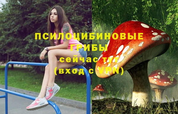спиды Алексеевка