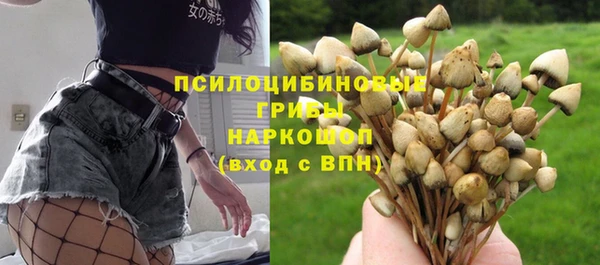 таблы Алзамай