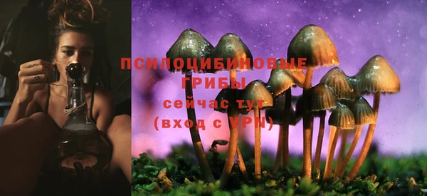 ПСИЛОЦИБИНОВЫЕ ГРИБЫ Алексин
