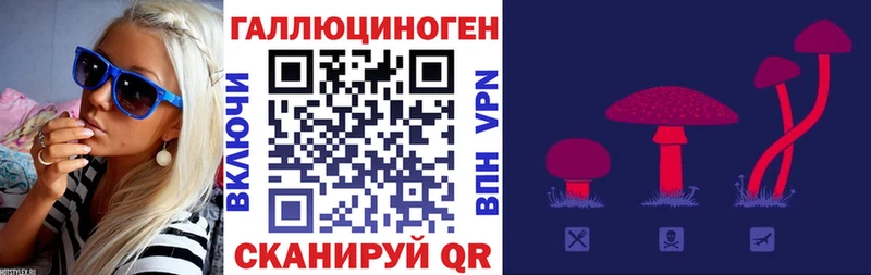 Галлюциногенные грибы прущие грибы  гидра вход  Звенигово  как найти закладки 